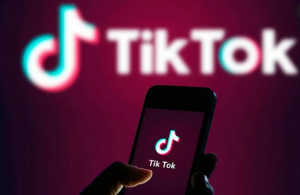 Cara Download Video TikTok Tanpa Watermark